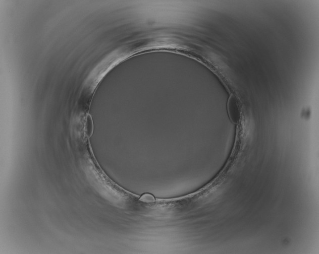 X0000113141369200909251253