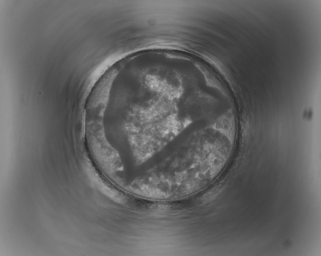 X0000113141371200909251253