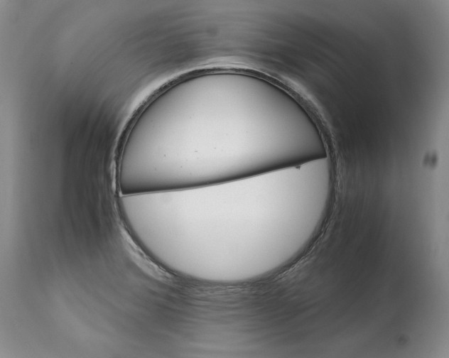 X0000113141372200909251253