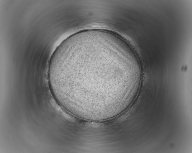 X0000113141374200909251253