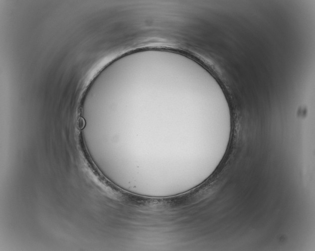 X0000113141375200909251253