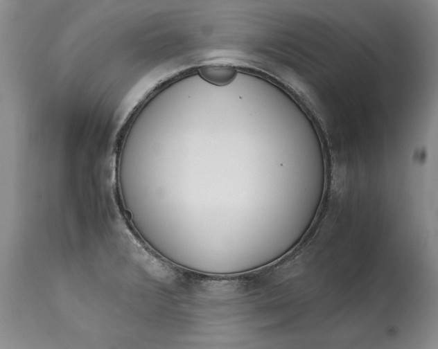 X0000113141376200909251253