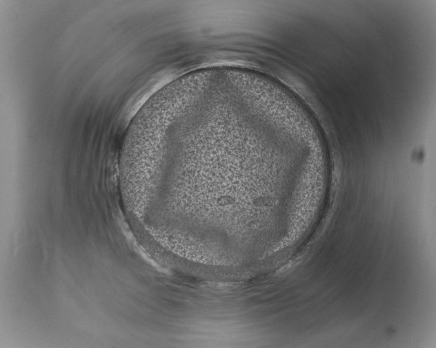 X0000113141377200909251253