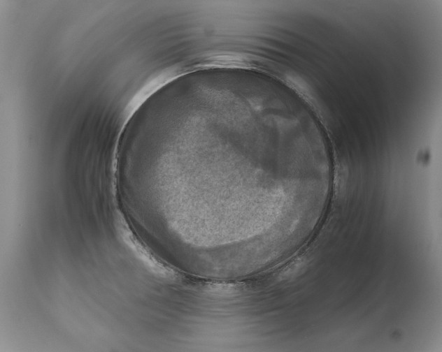 X0000113141378200909251253