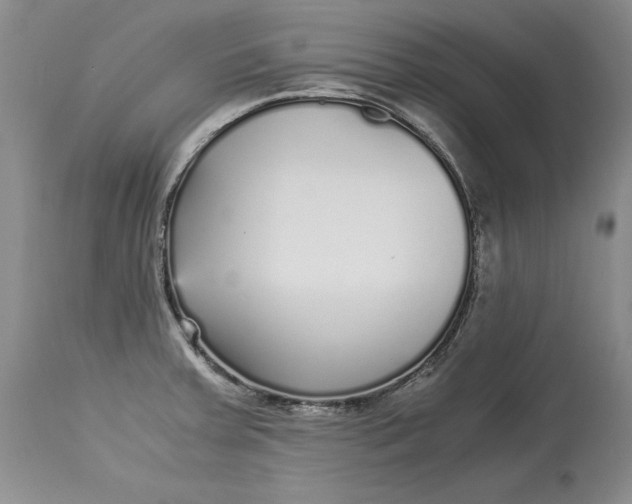 X0000113141379200909251253