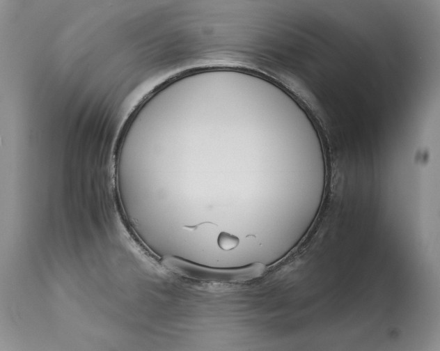 X0000113141380200909251253