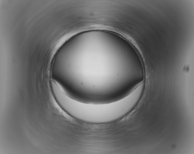 X0000113141381200909251253