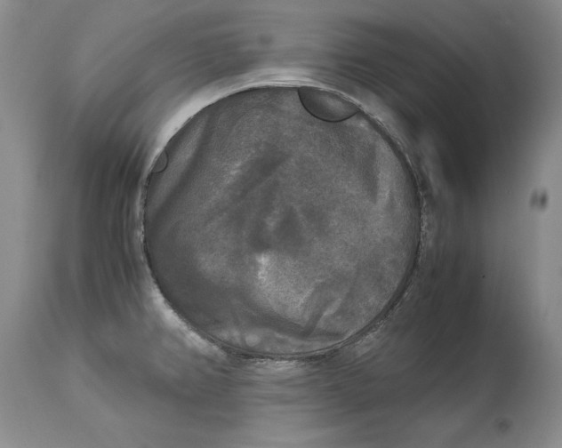 X0000113141382200909251253