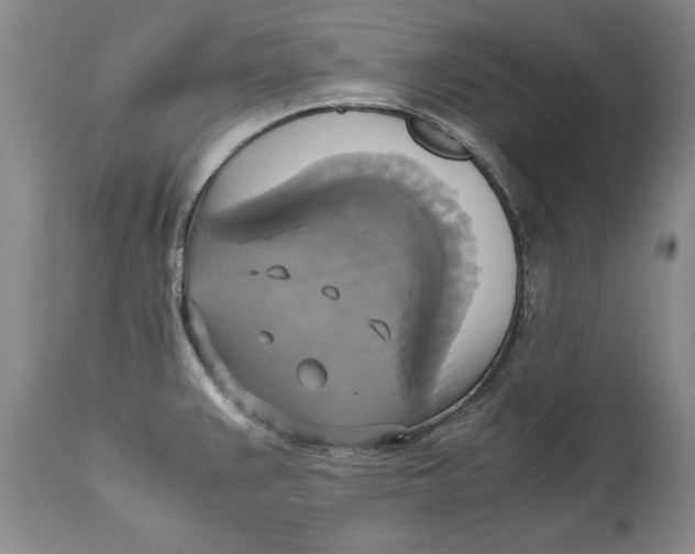 X0000113141383200909251253