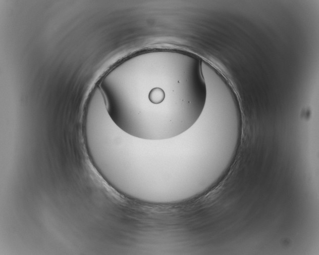 X0000113141384200909251253