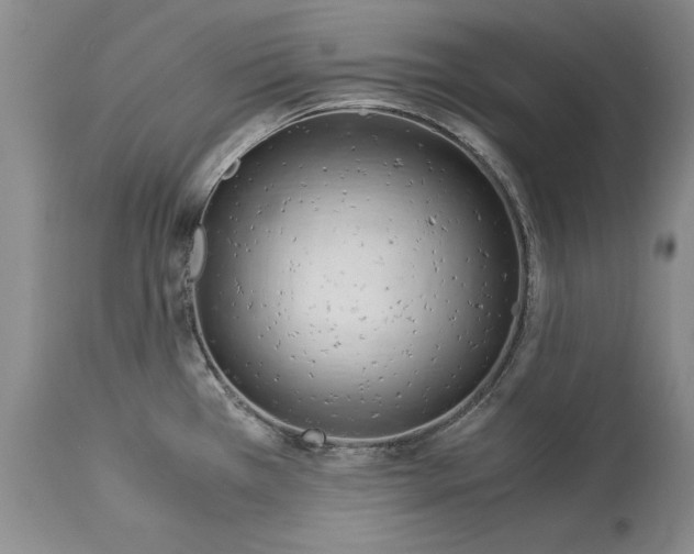 X0000113141385200909251253