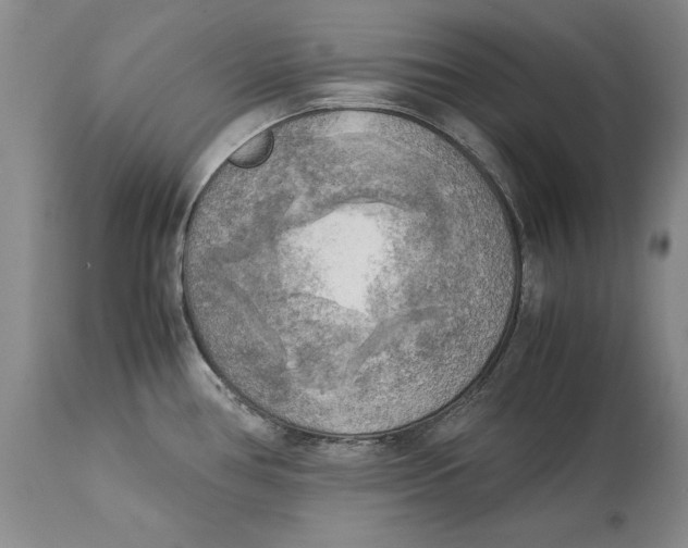 X0000113141386200909251253