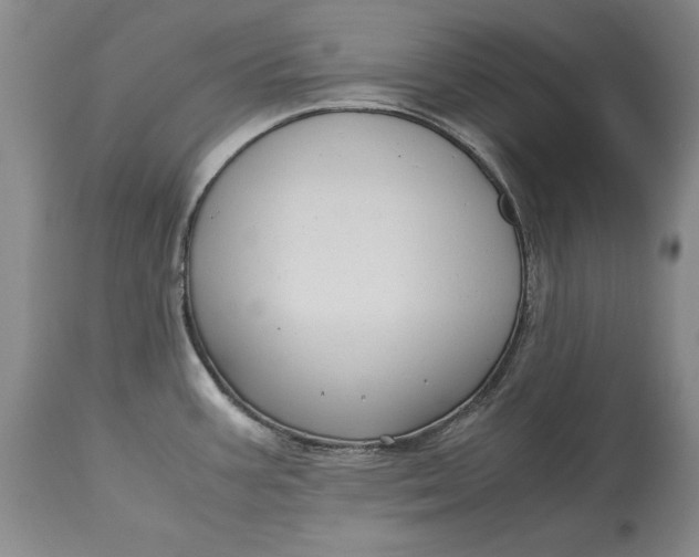 X0000113141387200909251253