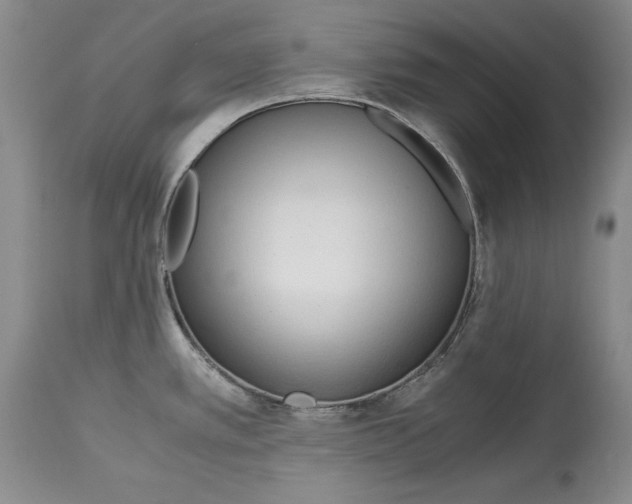 X0000113141389200909251253