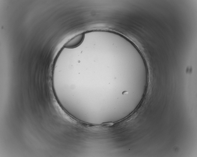 X0000113141392200909251253