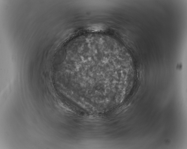 X0000113141393200909251252