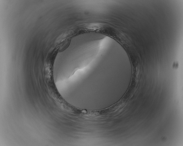 X0000113141394200909251252