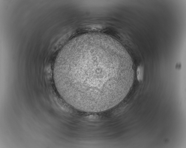 X0000113141395200909251252