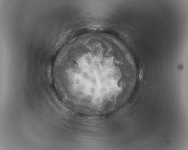 X0000113141396200909251252