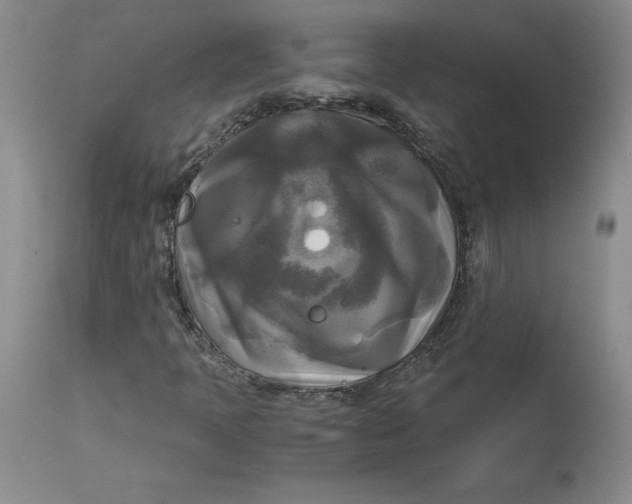 X0000113141397200909251252