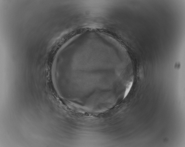 X0000113141398200909251252