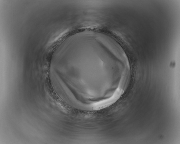 X0000113141399200909251252