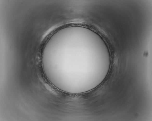 X0000113141400200909251252