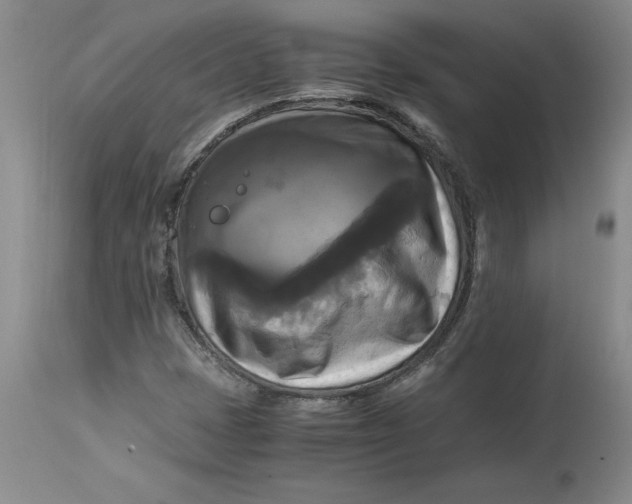 X0000113141401200909251252