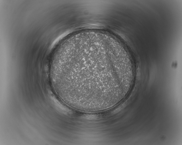 X0000113141402200909251252