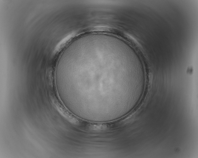 X0000113141403200909251252