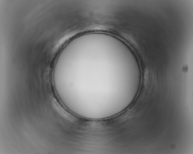 X0000113141404200909251252