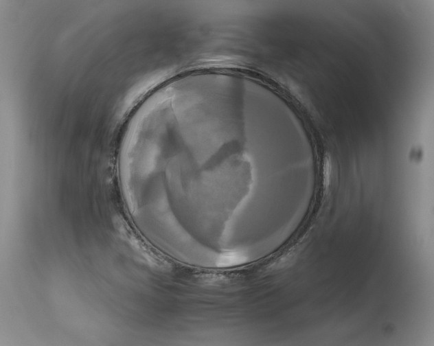 X0000113141405200909251252