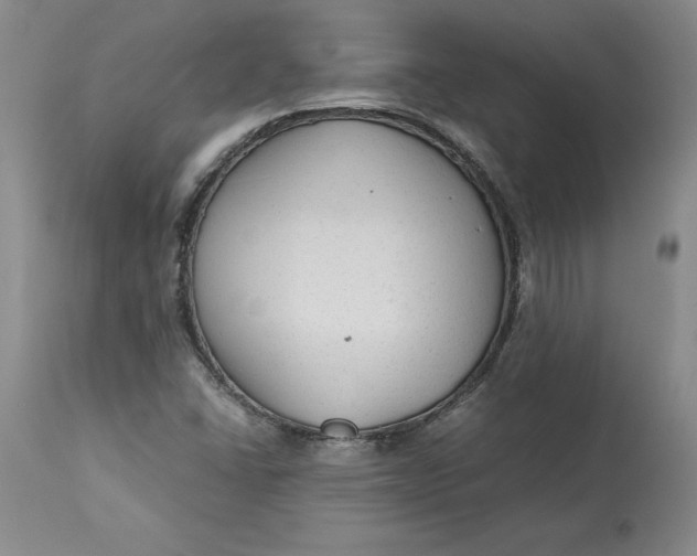 X0000113141406200909251252