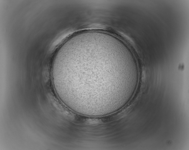 X0000113141407200909251252