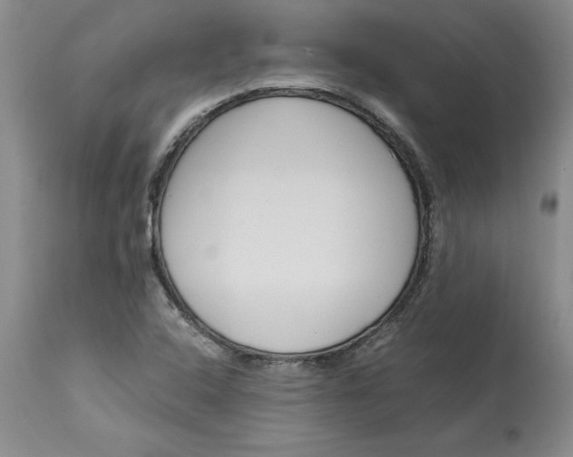 X0000113141408200909251252