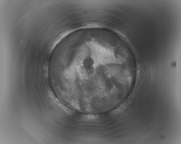 X0000113141409200909251252