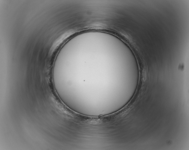 X0000113141410200909251252