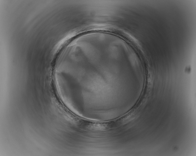 X0000113141411200909251252