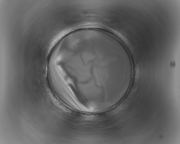 X0000113141413200909251252