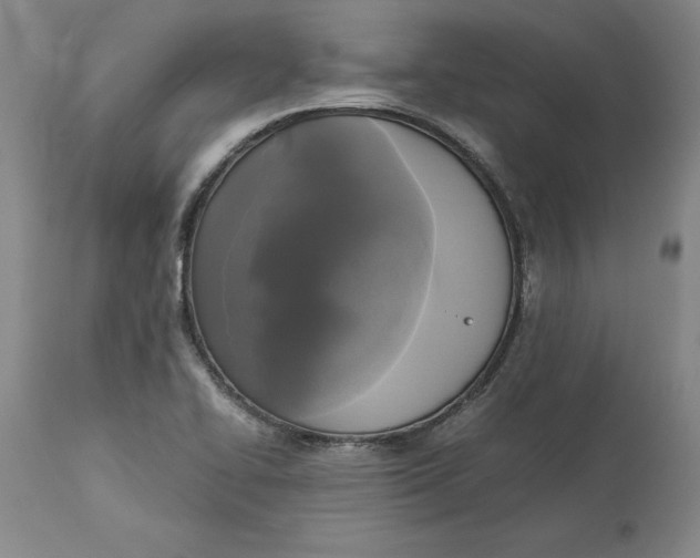 X0000113141414200909251252