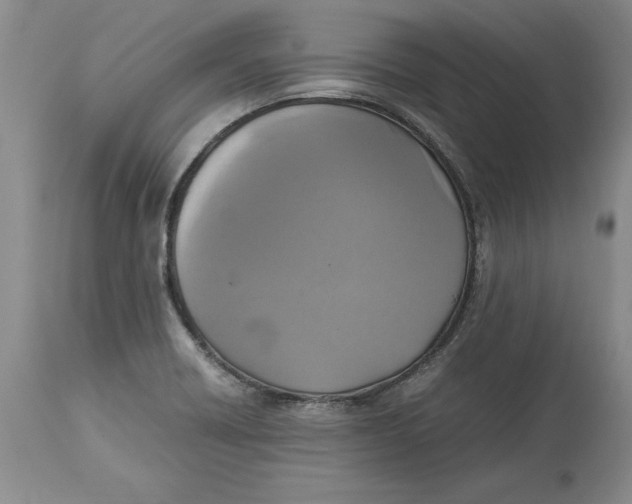 X0000113141418200909251252