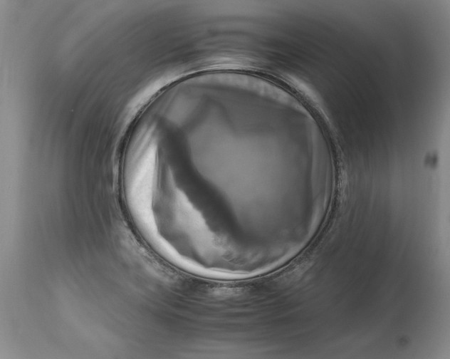 X0000113141419200909251252