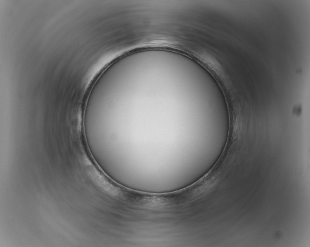 X0000113141420200909251252