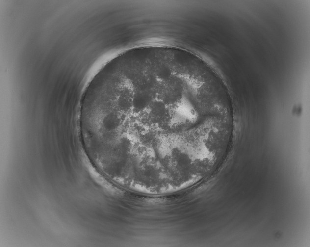 X0000113141421200909251252