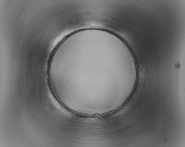 X0000113141422200909251252