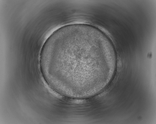 X0000113141423200909251252