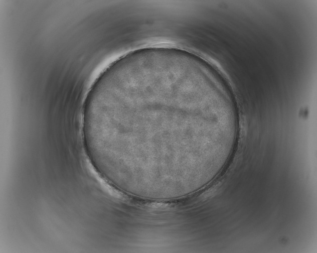 X0000113141424200909251252