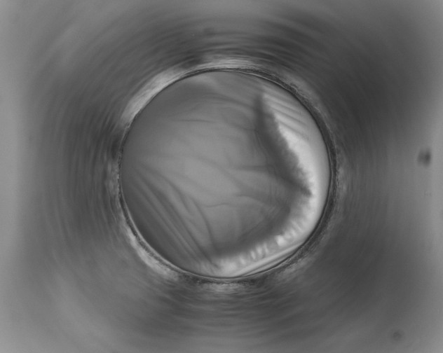 X0000113141425200909251252