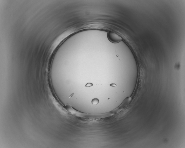 X0000113141426200909251252