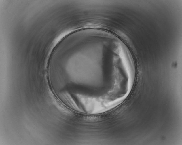 X0000113141427200909251252